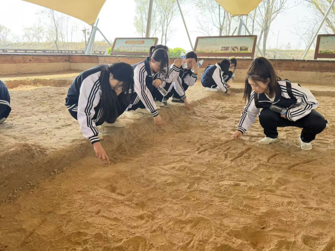 微信图片_2026-04-11_122405_675.png
