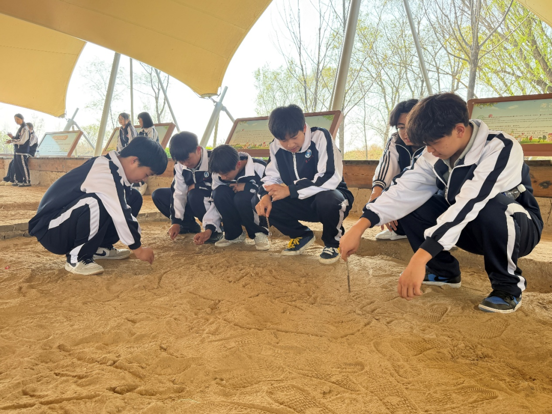 微信图片_2026-04-11_122411_803.png