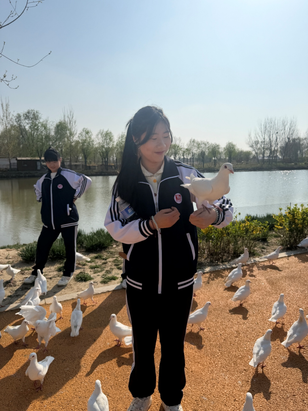 微信图片_2026-04-11_122509_164.png