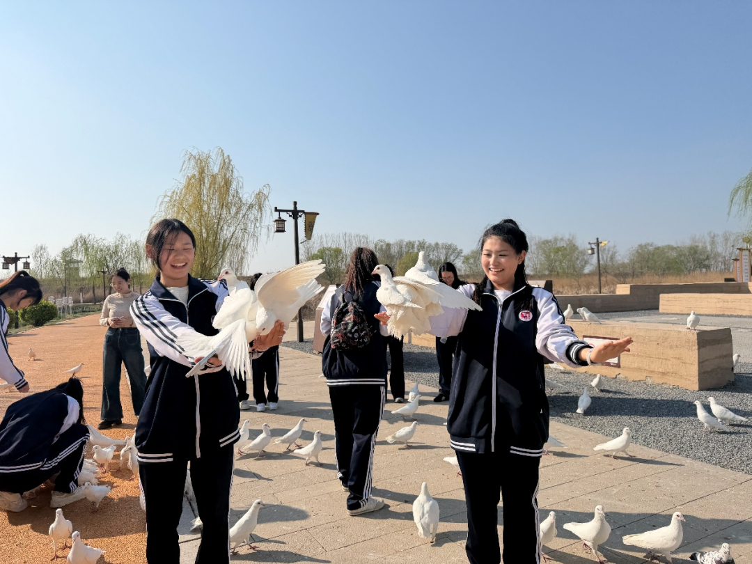 微信图片_2026-04-11_122515_794.png