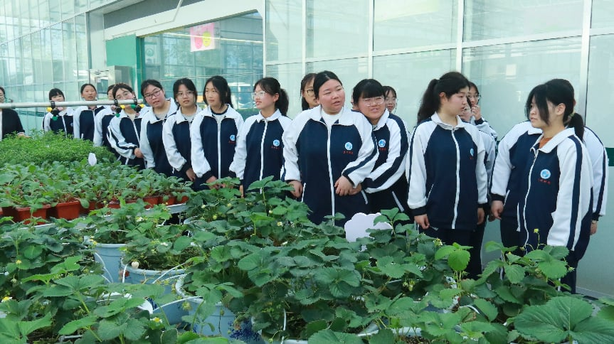 微信图片_2026-04-11_143836_223.png