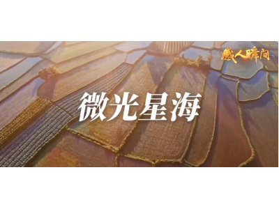 2025五一、五四微视频展播——《微光星海》